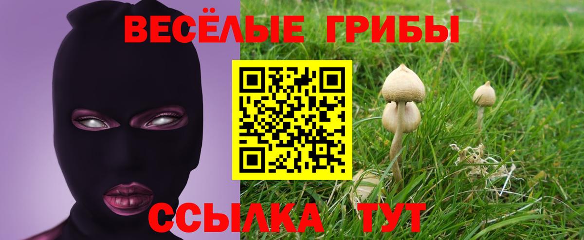 где купить   Вход с VPN  Осинники  Псилоцибиновые грибы MAGIC MUSHROOMS 